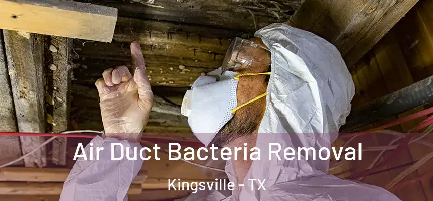  Air Duct Bacteria Removal Kingsville - TX