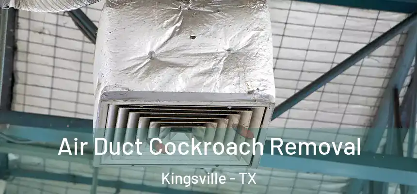  Air Duct Cockroach Removal Kingsville - TX
