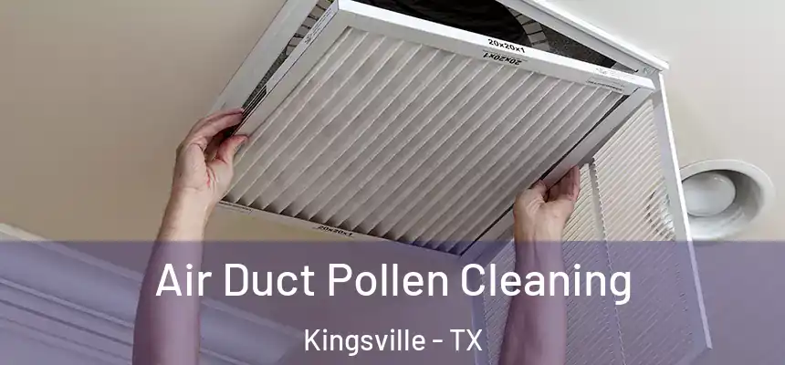  Air Duct Pollen Cleaning Kingsville - TX