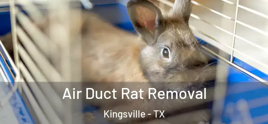  Air Duct Rat Removal Kingsville - TX