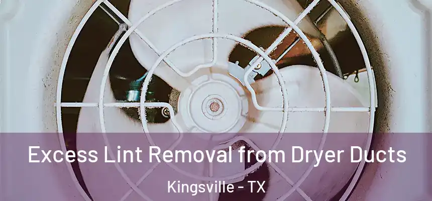  Excess Lint Removal from Dryer Ducts Kingsville - TX