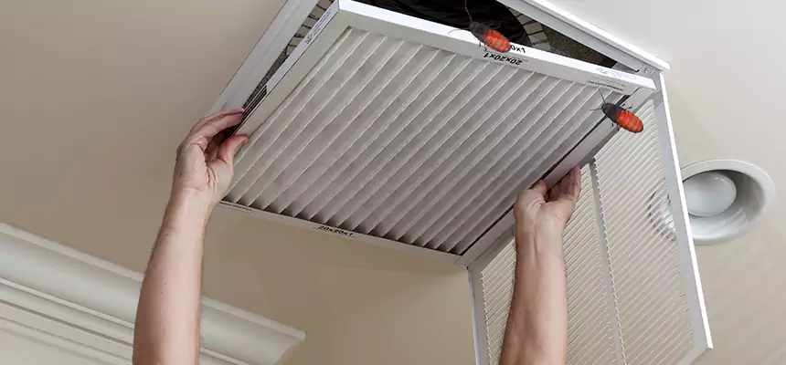 Preventive Cockroach-Proofing for Ducts in Kingsville