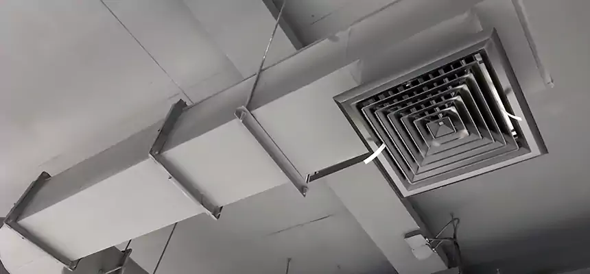 Our Pest Removal From Ducts Services in Kingsville, TX