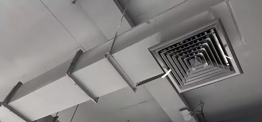 Our Rodent Droppings In Vents Services in Kingsville, TX