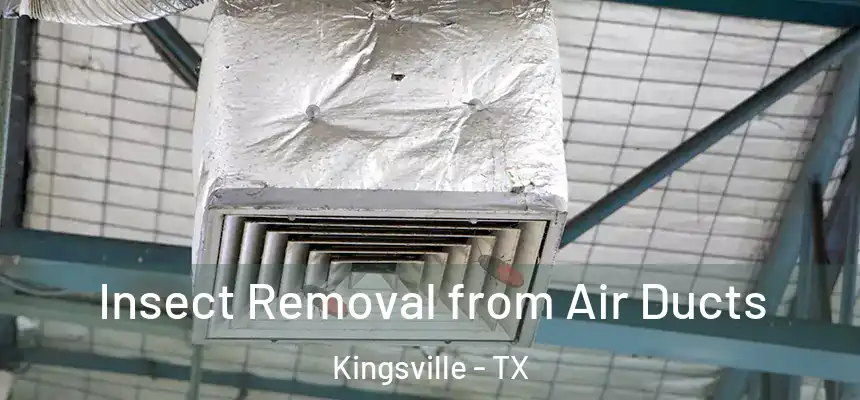  Insect Removal from Air Ducts Kingsville - TX