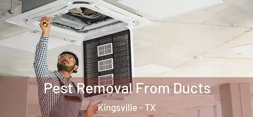  Pest Removal From Ducts Kingsville - TX
