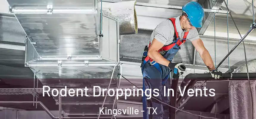  Rodent Droppings In Vents Kingsville - TX