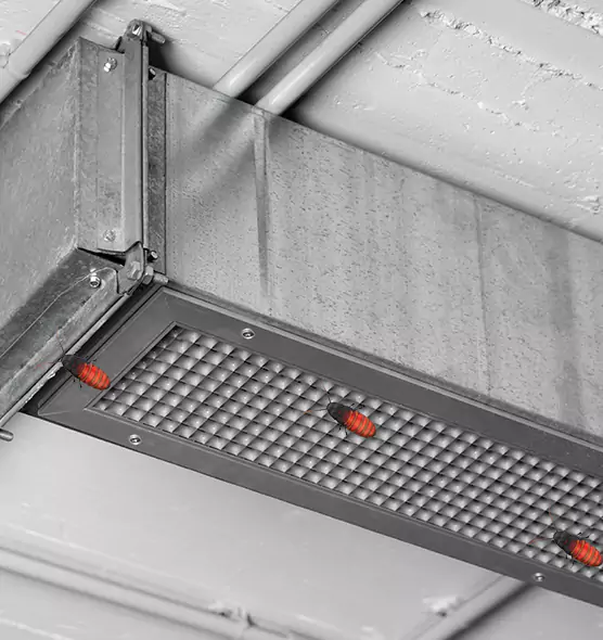 About Air Duct Cockroach Removal in Kingsville, TX