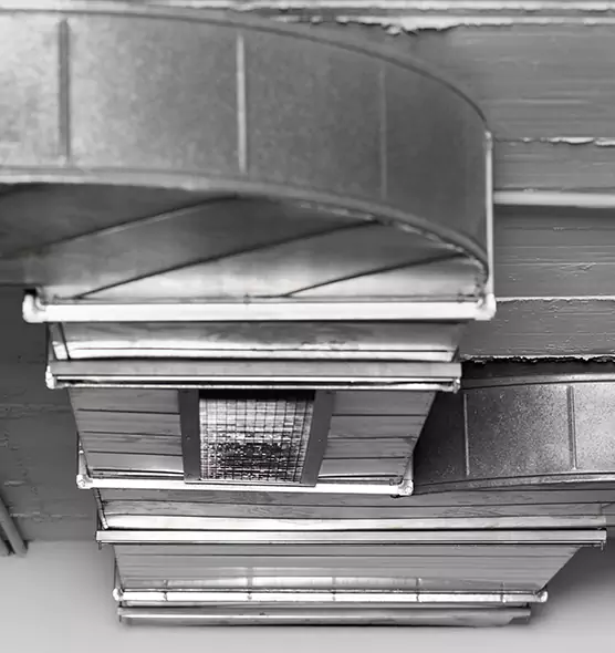 Professional Air Duct Pest Removal in Kingsville, TX