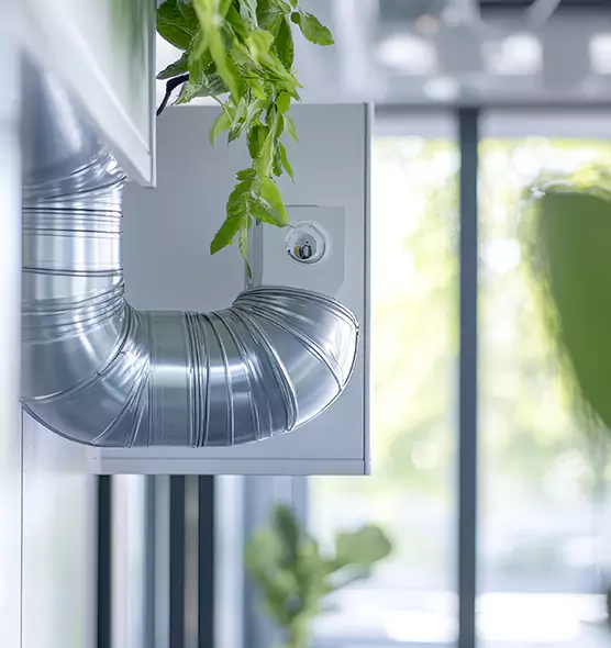 Professional Eco-Safe Dryer Vent Cleaning in Kingsville, TX