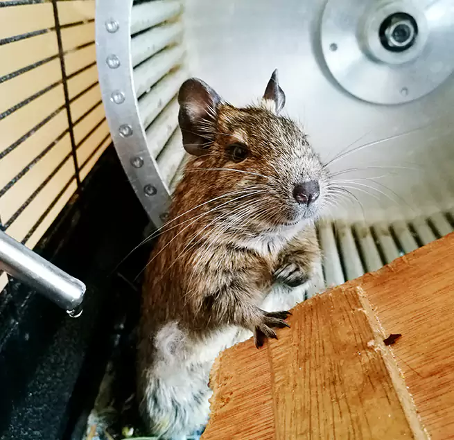 Why Homeowners & Businesses Trust Us Kingsville, TX?