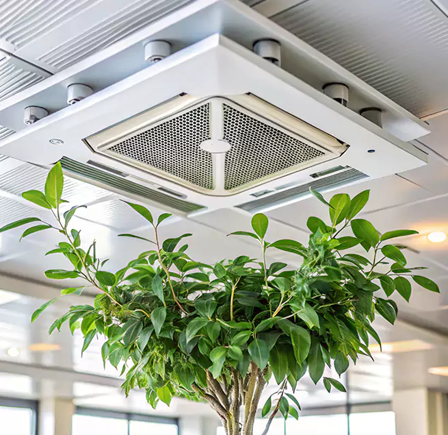 Why Homeowners & Businesses Trust Us in Kingsville, TX