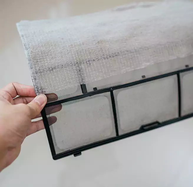 Why Homeowners & Businesses Trust Us in Kingsville, TX?