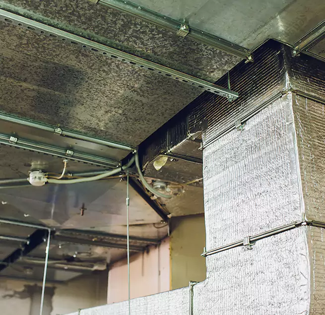 Why Homeowners & Businesses Trust Us in Kingsville, TX?